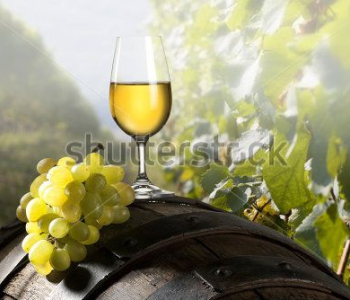 Еда и напитки - 53 | Wall-Style