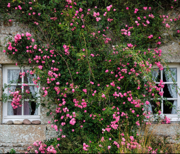 Старый город - 215 | Wall-Style