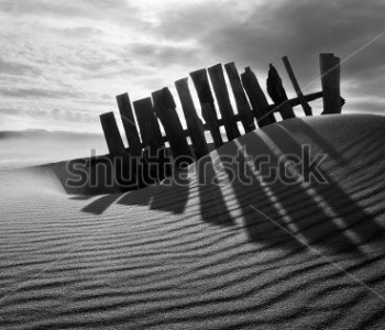 Природа - 514 | Wall-Style