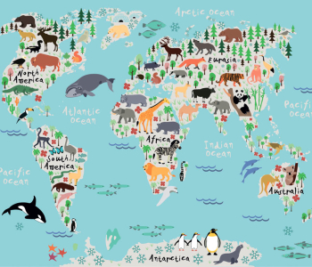 Детские - 162 | Wall-Style