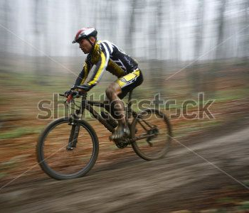 Спорт - 3 | Wall-Style