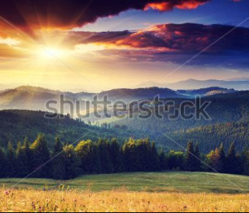 Природа - 788 | Wall-Style