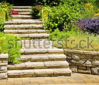 Природа - 596 | Wall-Style