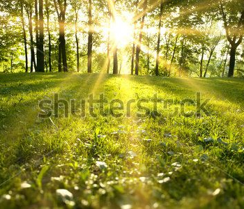 Природа - 676 | Wall-Style