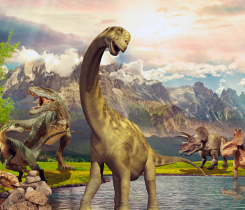 Детские - 25 | Wall-Style