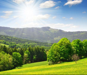 Природа - 20 | Wall-Style