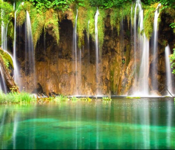 Природа - 428 | Wall-Style