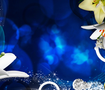 3Д - 15 | Wall-Style