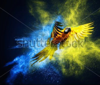 Животные - 108 | Wall-Style