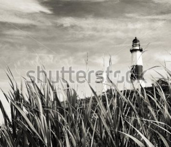 Природа - 533 | Wall-Style