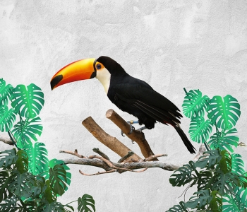 Природа - 15 | Wall-Style