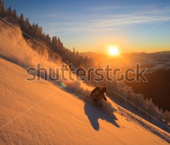 Спорт - 315 | Wall-Style