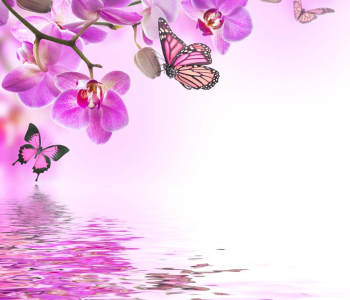 Цветы и растения - 131 | Wall-Style