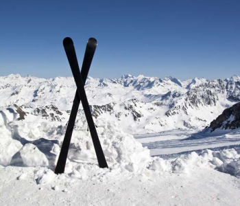 Спорт - 23 | Wall-Style