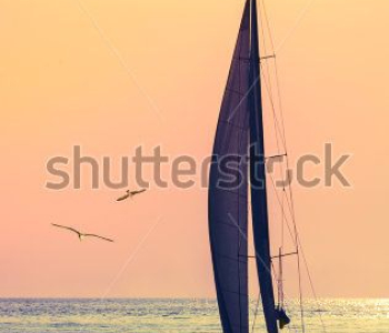 Техника и транспорт - 353 | Wall-Style