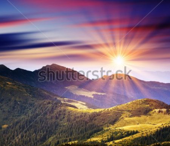 Природа - 182 | Wall-Style