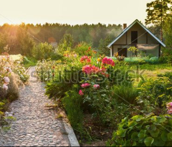 Природа - 573 | Wall-Style