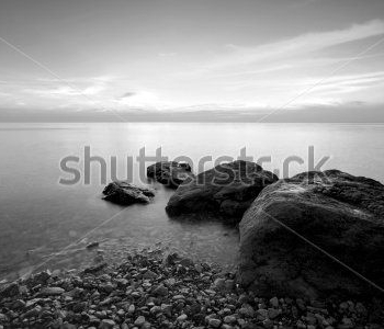 Природа - 530 | Wall-Style