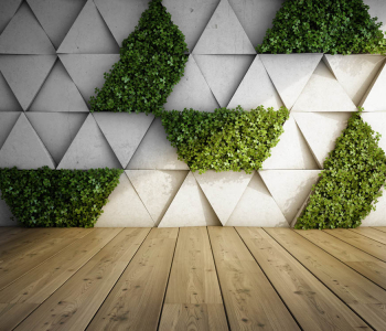 3Д - 62 | Wall-Style