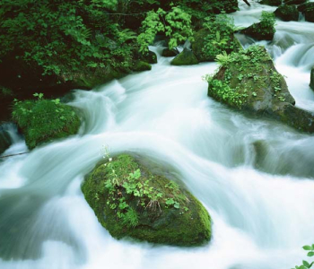 Природа - 422 | Wall-Style