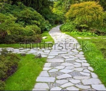 Природа - 559 | Wall-Style