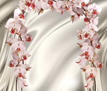 3Д - 13 | Wall-Style