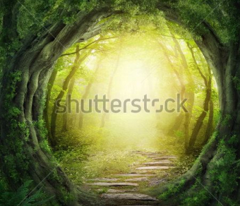 Фэнтези - 30 | Wall-Style