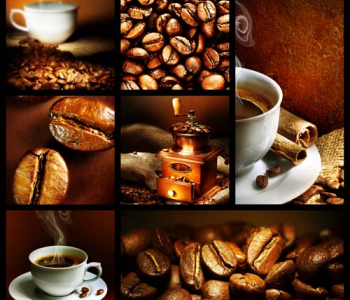 Еда и напитки - 21 | Wall-Style