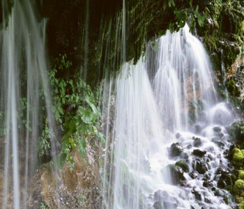 Природа - 433 | Wall-Style