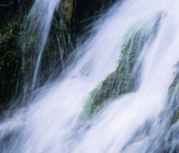 Природа - 444 | Wall-Style