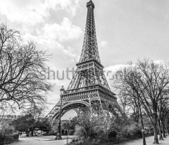 Архитектура - 26 | Wall-Style