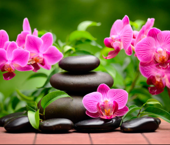 Цветы и растения - 14 | Wall-Style