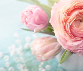 Цветы и растения - 89 | Wall-Style