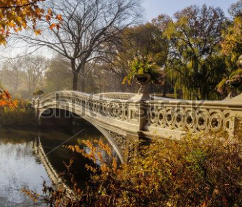 Природа - 626 | Wall-Style