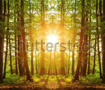 Природа - 180 | Wall-Style