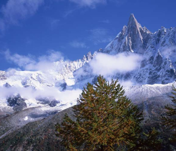 Природа - 460 | Wall-Style