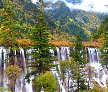 Природа - 226 | Wall-Style