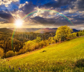 Природа - 53 | Wall-Style