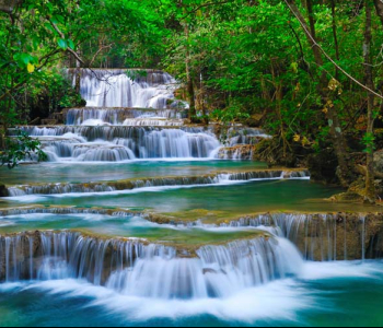 Природа - 34 | Wall-Style