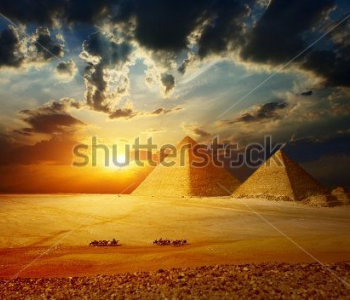 Архитектура - 312 | Wall-Style