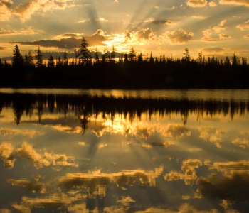 Природа - 9 | Wall-Style