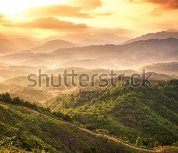 Природа - 106 | Wall-Style