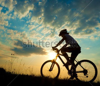 Спорт - 24 | Wall-Style