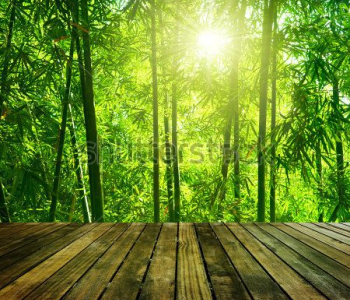 Природа - 117 | Wall-Style