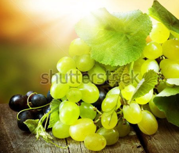 Еда и напитки - 52 | Wall-Style