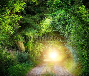 Фэнтези - 202 | Wall-Style