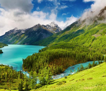 Природа - 445 | Wall-Style