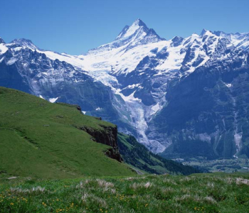 Природа - 464 | Wall-Style