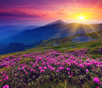 Природа - 131 | Wall-Style