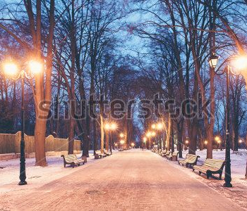 Природа - 823 | Wall-Style